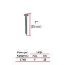 Nail 1 ', with Head Bag 1 Kg