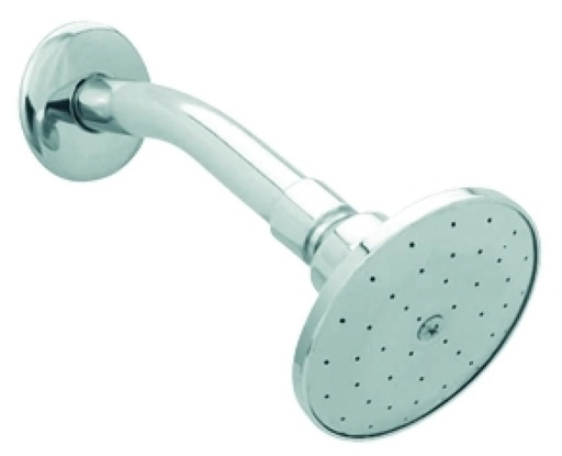 REGADERA BRAZO CHAPETON 4504B DICA