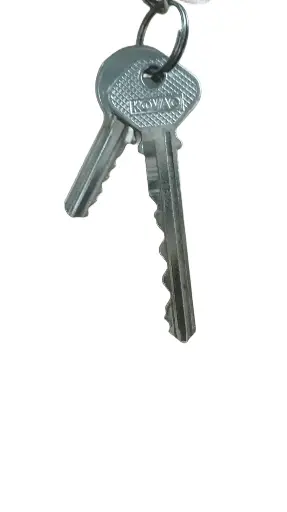 2 DUPLICADOS LLAVE DOMESTICA POR $80 